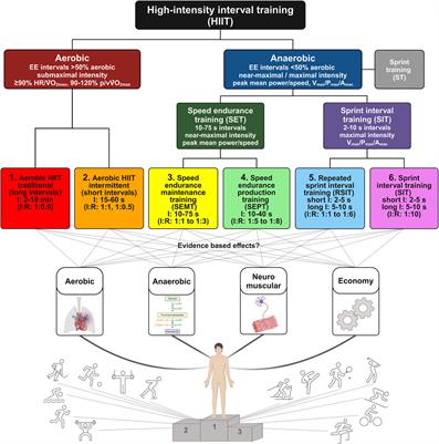 A training goal-oriented categorization model of high-intensity interval training